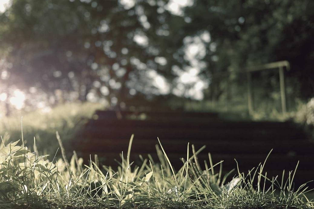 Sed esse quis voluptatem qui veniam